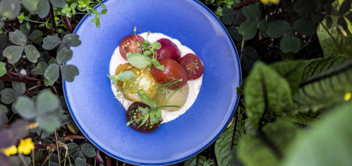 Scandic DinnerDays vegetarisk menu