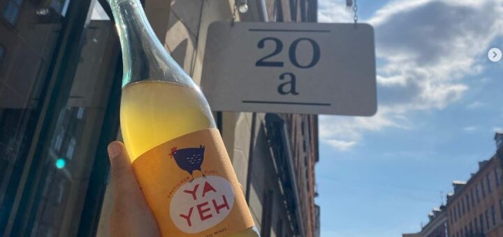 Ravnsborggade 20a orangevin i københavn